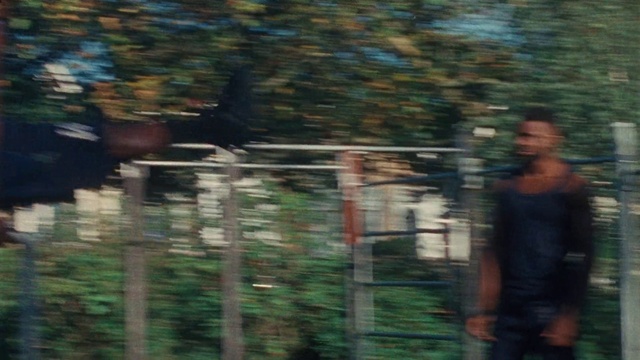 Video Reference: Plant, Wood, Grass, Fence, Tints and shades, Leisure, Forest, Landscape, Wildlife, Tree