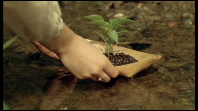 Video Reference: Plant, Recipe, Natural foods, Food, Grass, Ingredient, Thumb, Nail, Terrestrial plant, Superfood