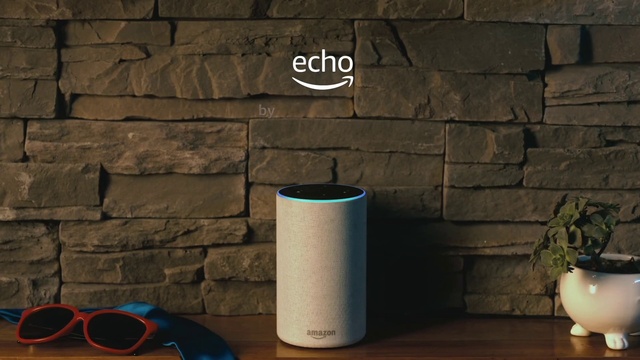 Video Reference: Light, Black, Wood, Drinkware, Grey, Wall, Flooring, Plant, Gas, Art