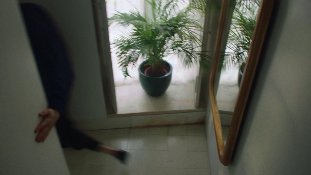 Video Reference: Plant, Window, Flowerpot, Houseplant, Wood, Floor, Terrestrial plant, Fixture, Hardwood, Flooring