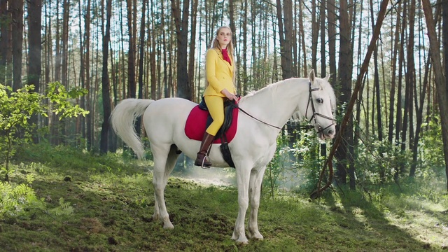 Video Reference: Hair, Face, Horse, Plant, Tree, Working animal, Bit, Horse tack, Bridle, Horse supplies