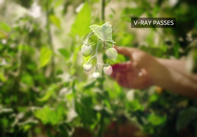 Video Reference: Plant, People in nature, Gesture, Terrestrial plant, Grass, Groundcover, Flowering plant, Happy, Annual plant, Shrub
