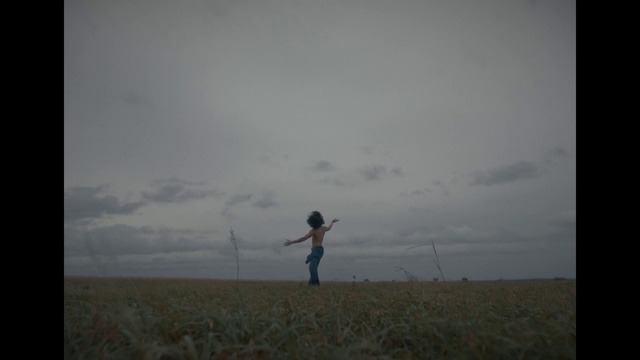 Video Reference: Cloud, Sky, Plant, People in nature, Flash photography, Gesture, Happy, Grass, Grassland, Horizon