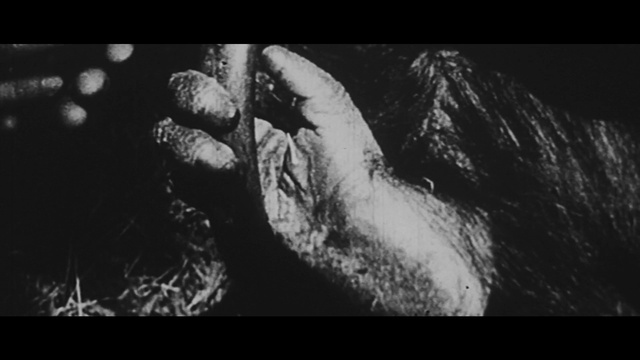 Video Reference: Jaw, Gesture, Flash photography, Wood, Font, Art, Human leg, Monochrome photography, Event, Darkness