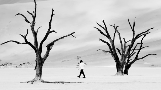 Video Reference: Sky, People in nature, Natural landscape, Twig, Branch, Cloud, Black-and-white, Gesture, Style, Tree
