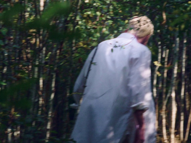 Video Reference: People in nature, Gesture, Wood, Terrestrial plant, Grass, Trunk, Sunglasses, Twig, Tree, Eyewear