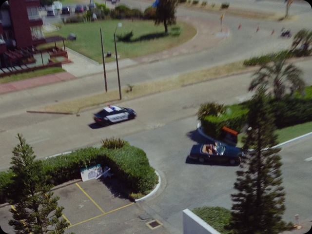 Video Reference: Car, Plant, Vehicle, Wheel, Motor vehicle, Infrastructure, Green, Tire, Road surface, Asphalt