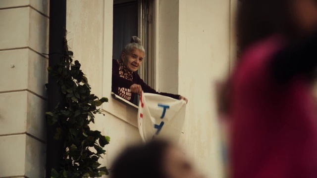 Video Reference: Plant, Window, Building, Event, Fun, Flag, Tree, Facade, Visual arts, Room