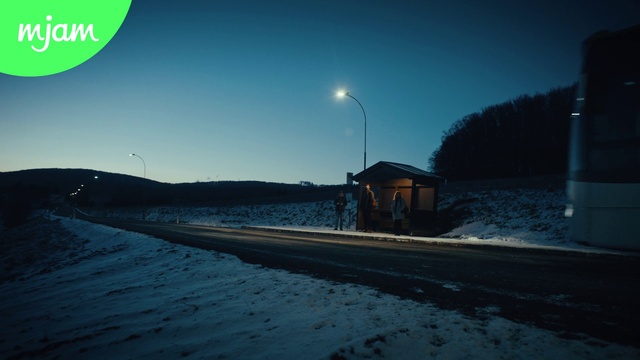 Video Reference: Sky, Street light, Cloud, Snow, Road surface, Asphalt, Automotive lighting, Tree, Freezing, Morning