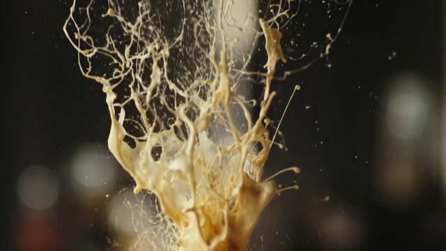 Video Reference: Water, Twig, Flash photography, Plant, Liquid, Sky, Natural material, Freezing, Electric blue, Tree