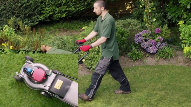 Video Reference: Plant, Mower, Lawn mower, Walk-behind mower, Flower, Vehicle, Motor vehicle, Outdoor power equipment, Grass, Leisure