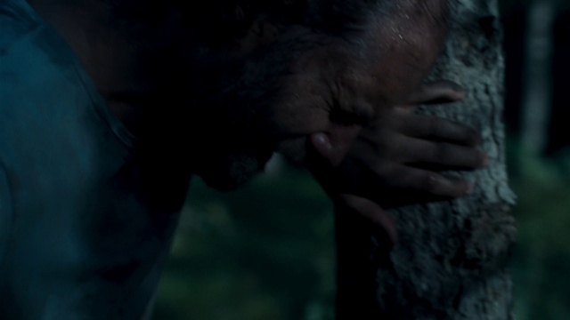 Video Reference: Gesture, Wrinkle, Snout, Grass, Sky, Wood, Tree, Trunk, Wildlife, Soil