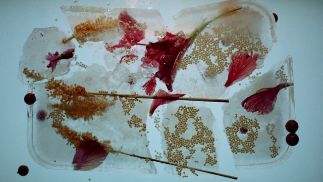 Video Reference: Food, Tableware, Ingredient, Dishware, Plate, Recipe, Cuisine, Dish, Liquid, Kitchen utensil