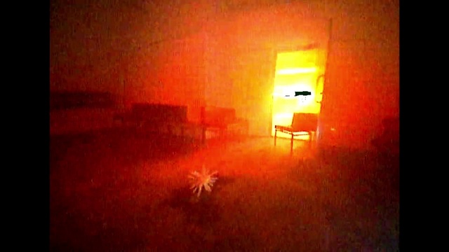 Video Reference: Atmosphere, Amber, Rectangle, Orange, Sunset, Window, Heat, Atmospheric phenomenon, Chair, Plant