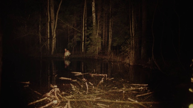 Video Reference: Plant, Natural landscape, Wood, Twig, Trunk, Watercourse, Bank, Tree, Grass, Tints and shades