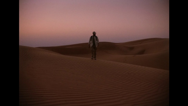 Video Reference: Sky, Vertebrate, Cloud, Mammal, Erg, Biome, Atmospheric phenomenon, Terrain, Horizon, Landscape