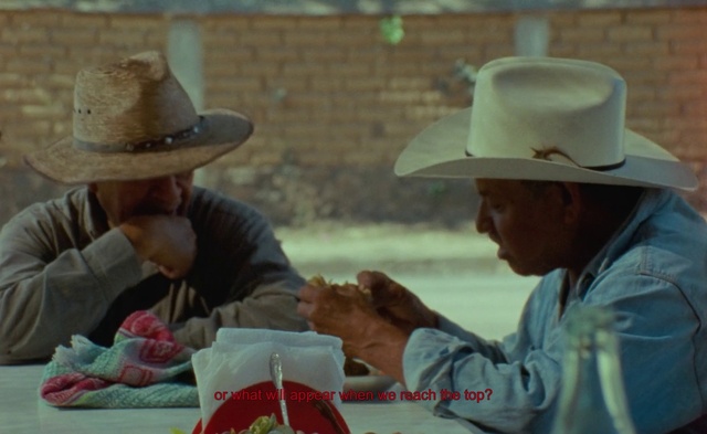 Video Reference: Hat, Tableware, Sun hat, Recreation, Sharing, Landscape, Event, Fedora, Cowboy hat, Working animal