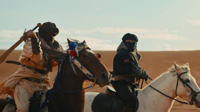 Video Reference: Sky, Horse, Working animal, Halter, Horse tack, Camelid, Outdoor recreation, Travel, Bridle, Rein