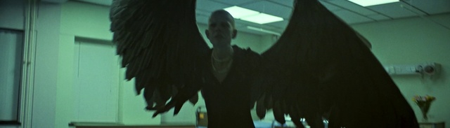 Video Reference: Organism, Gesture, Wing, Darkness, Room, Fun, Shadow, Fictional character, Fur