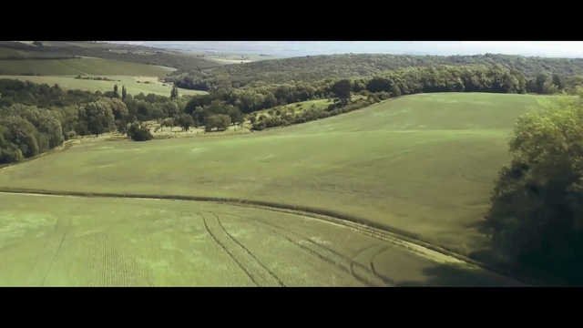 Video Reference: Plant, Tree, Natural landscape, Sky, Slope, Land lot, Grass, Rectangle, Grassland, Plain