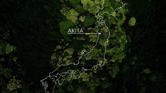 Video Reference: Map, World, Terrestrial plant, Screenshot, Nature reserve, Forest, Jungle, Font, Natural landscape