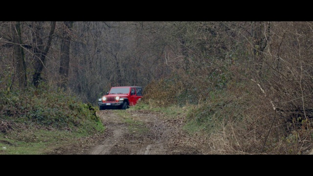 Video Reference: Plant, Vehicle, Car, Motor vehicle, Tire, Automotive tire, Automotive exterior, Tree, Wheel, Grass