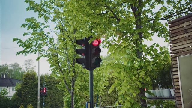 Video Reference: Tree, Sky, Traffic sign, Traffic light, Road, signaling device, Pole, Street light, Public utility, Signage