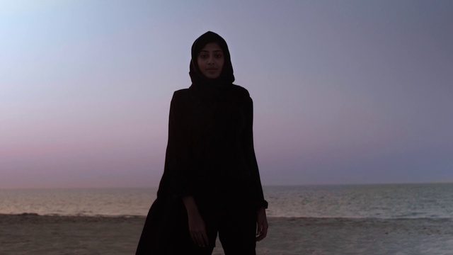 Video Reference: Sky, Water, Flash photography, Sleeve, Atmospheric phenomenon, Travel, Happy, Landscape, Black hair, Horizon