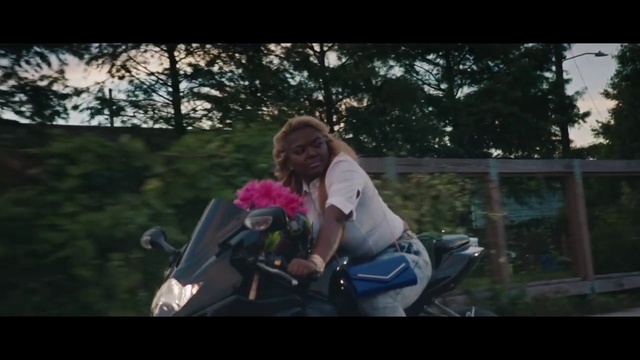 Video Reference: Plant, Flash photography, Tree, Happy, Grass, Leisure, Toy, Landscape, Rose, Recreation