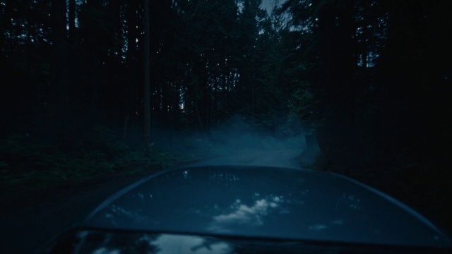 Video Reference: Plant, Automotive lighting, Mode of transport, Automotive exterior, Tree, Tints and shades, Natural landscape, Glass, Road surface, Car