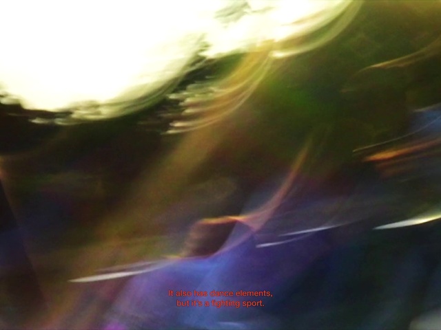 Video Reference: Water, Plant, Sky, Grass, Lens flare, Electric blue, Space, Wing, Landscape, Heat