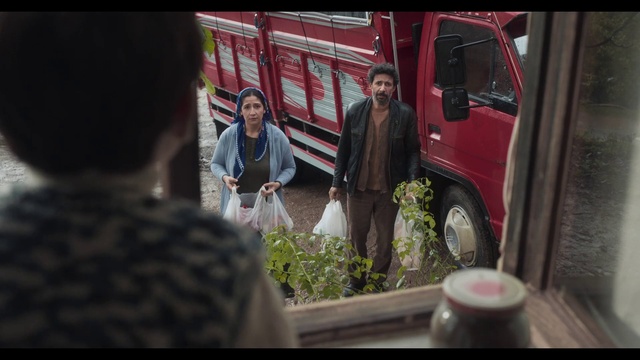 Video Reference: Tire, Wheel, Plant, Temple, Motor vehicle, Automotive tire, Fun, Event, Vehicle door, Truck