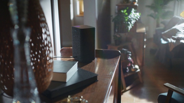 Video Reference: Plant, Building, Interior design, Wood, Floor, House, Flooring, Houseplant, Hardwood, Table