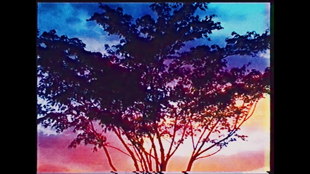Video Reference: Sky, Cloud, World, Purple, Natural landscape, Rectangle, Twig, Violet, Tree, Plant