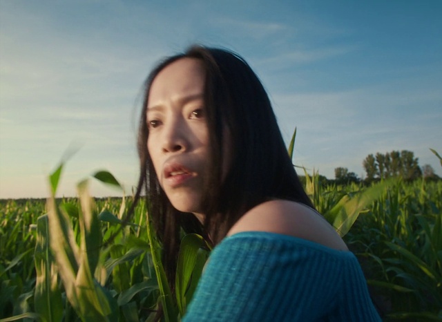 Video Reference: Sky, Lip, Plant, Cloud, People in nature, Flash photography, Happy, Smile, Grass, Grassland