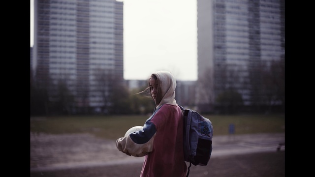 Video Reference: Window, Building, Skyscraper, Sky, Flash photography, Plant, Atmospheric phenomenon, Tower block, Street fashion, Tree