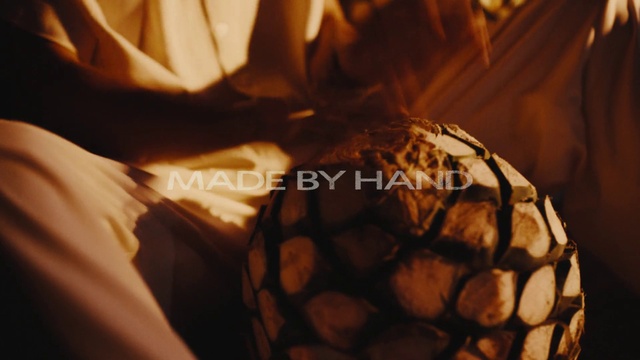 Video Reference: Plant, Wood, Reptile, Tree, Tints and shades, Terrestrial animal, Pattern, Close-up, Font, Petal