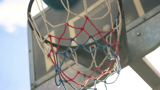 Video Reference: Basketball, Sports equipment, Basketball hoop, Ball, White, Plant, Player, Ball game, Mesh, Line