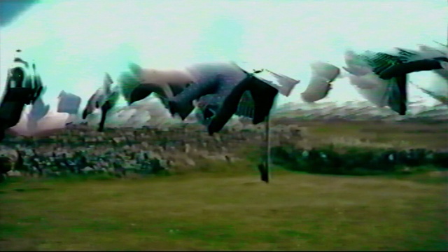 Video Reference: Sky, Plant, Grass, Grassland, Art, Meadow, Environmental art, Wind, Sculpture, Landscape
