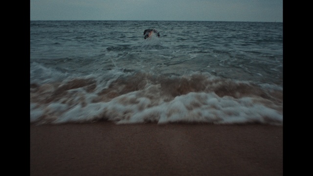Video Reference: Water, Sky, Fluid, Beach, Liquid, Coastal and oceanic landforms, Horizon, Wind wave, Landscape, Wind
