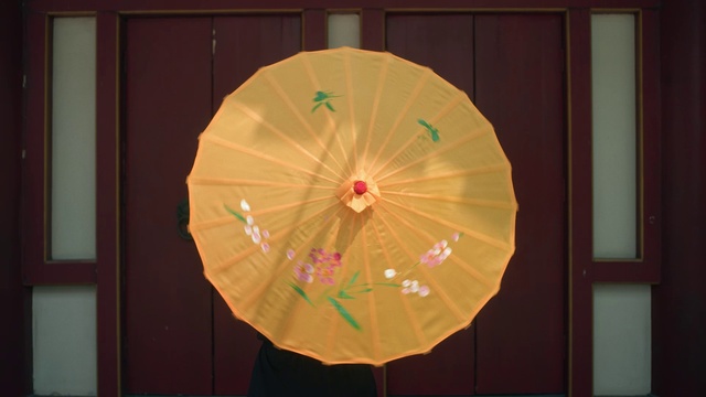 Video Reference: Umbrella, Wood, Window, Tints and shades, Symmetry, Circle, Fashion accessory, Pattern, Ceiling, Visual arts