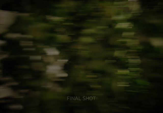 Video Reference: Plant, Wood, Terrestrial plant, Tints and shades, Natural landscape, Trunk, Landscape, Twig, Grass, Font