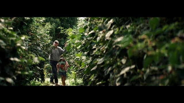 Video Reference: Plant, People in nature, Flash photography, Terrestrial plant, Natural landscape, Tree, Shorts, Tints and shades, Landscape, Forest