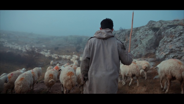 Video Reference: Sky, Shepherd, Mountain, Herder, Mammal, Atmospheric phenomenon, Goat, Working animal, Landscape, Mountainous landforms