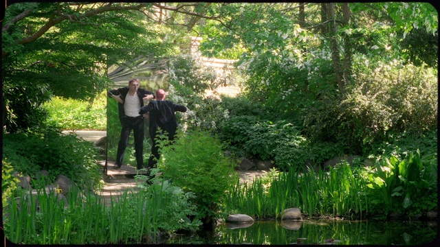 Video Reference: Plant, Green, Natural landscape, People in nature, Terrestrial plant, Gesture, Tree, Grass, Groundcover, Recreation