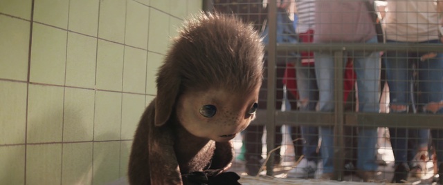 Video Reference: Eye, Toy, Fur clothing, Fawn, Wood, Whiskers, Doll, Snout, Flooring, Fur