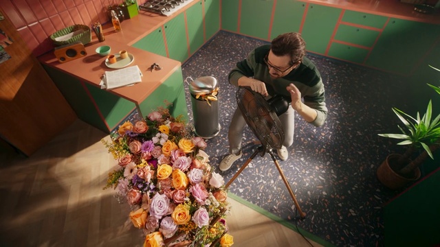 Video Reference: Plant, Furniture, Flower, Table, Interior design, Chair, Houseplant, Flooring, Tableware, Leisure