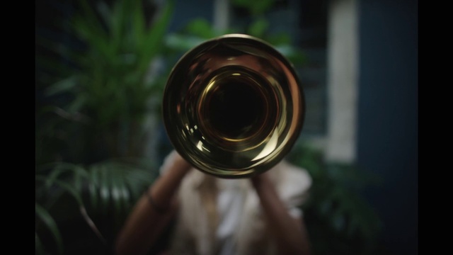 Video Reference: Glass bottle, Alcoholic beverage, Drink, Musical instrument, Wind instrument, Plant, Circle, Wood, Glass, Event