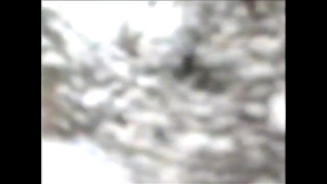 Video Reference: blurred, low_resolution, outdoor, indistinct, bright, vague, abstract, motion_blur