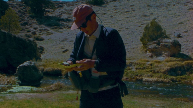 Video Reference: Plant, Ecoregion, Landscape, Grass, Grassland, Mountainous landforms, Tree, Recreation, Leisure, Hill